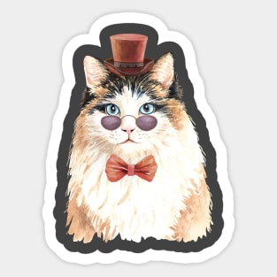 Cute Male Cat Sticker
